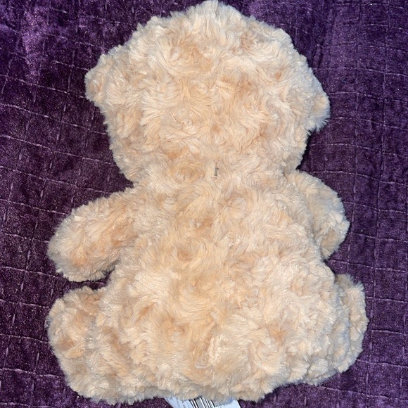 Parents Choice NEW stuffy Plush Toy Teddy bear 0 - 36 months - Picture 7 of 7